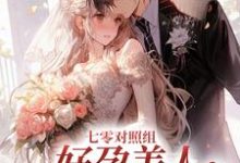 沈稚柚顾野小说叫什么(七零对照组:好孕美人嫁军官后赢麻免费阅读)-干果文学