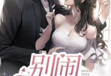 小说《别闹,战先生》章节阅读-干果文学