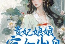 沈清禾萧祈是哪本书的主角?贵妃娘娘宫女出身,皇上偏宠着免费读-干果文学