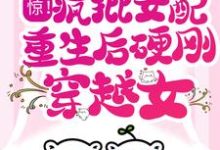 惊!疯批女配重生后硬刚穿越女小说有没有完整的免费版本在线阅读?-干果文学
