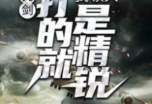 亮剑:我领兵,打的就是精锐!小说有没有完整的免费版本在线阅读?-干果文学