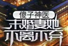 主人公楚元宋南伊小说傻子神医:未婚妻她不离不弃在线章节阅读-干果文学
