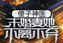 已完结小说《傻子神医:未婚妻她不离不弃》章节在线阅读-干果文学