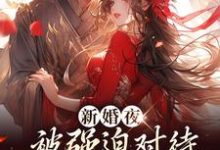 新婚夜被强迫对待,这叫不近女色?小说的免费阅读版本在哪里可以找到?-干果文学