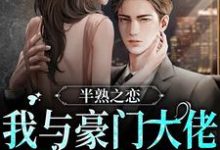 主角叫江黎罗靳延的小说在哪阅读-干果文学