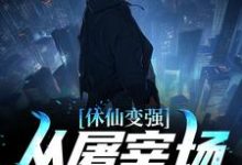 哪里可以免费读到苏峻沈冰叶的完整故事?寻找休仙变强,从屠宰场杀猪开始-干果文学