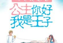 倾世绝恋之公主你好我是王子小说的免费阅读版本在哪里可以找到?-干果文学