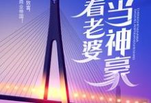 重生奶爸,带着老婆当神豪叶辰陈一诺在线章节免费阅读-干果文学