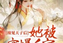 撞见天子后,她被宠爆后宫小说,撞见天子后,她被宠爆后宫免费阅读-干果文学