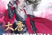 大唐:开局就是驸马爷章节免费在线阅读,苏玉完结版-干果文学
