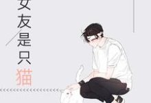 求林泽译温柔小说免费资源-干果文学