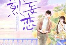 热烈妄恋小说有没有完整的免费版本在线阅读?-干果文学