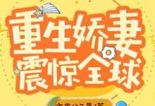 林初瞳陆妄年程延是哪本书的主角?寻找重生娇妻震惊全球免费阅读-干果文学