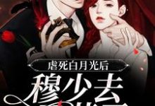 已完结小说《虐死白月光后,穆少去买药了》章节在线阅读-干果文学