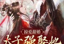 掠爱甜婚:太子强娶她入东宫小说的最新章节在哪里更新?免费追踪阅读-干果文学