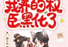 穿书后,我养的权臣黑化了小说有没有完结版在线?-干果文学