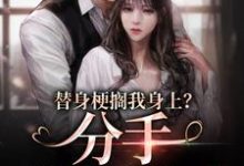 替身梗搁我身上?分手,姐闪婚了小说全文哪里可以免费看?-干果文学