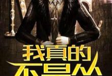 我真的不是怂小说全文哪里可以免费看?-干果文学
