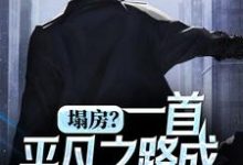 小说《塌房?一首平凡之路成时代巨星》在线章节阅读-干果文学