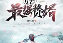 想读姜寒颜如雪魏源的故事,哪里可以免费找到万古最强赘婿?-干果文学