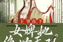 《王爷在下:女婢她绝世无双》全集免费在线阅读( 姜小猫云璟)-干果文学