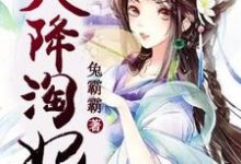天降淘妃:战神王爷太凶猛小说的无弹窗阅读体验,寻找免费阅读网站-干果文学