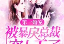 第一婚宠:被暴戾总裁宠上天了章节免费在线阅读,李时笙沈弋宸完结版-干果文学
