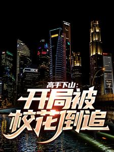 已完结小说《高手下山：开局被校花倒追》章节在线阅读