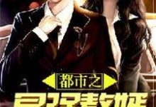 都市之最强赘婿小说的无弹窗阅读体验,寻找免费阅读网站-干果文学
