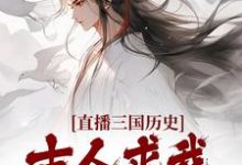 主角叫林浪嬴政的小说在哪阅读-干果文学