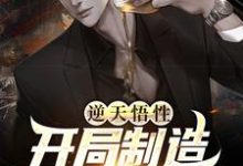完结版《逆天悟性,开局制造可控核聚变》章节阅读-干果文学