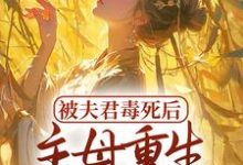 苏巧的小说在哪里看?免费在线阅读被夫君毒死后,主母重生杀疯了-干果文学