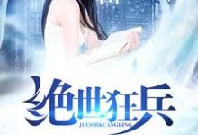 绝世狂兵小说,绝世狂兵苏石慕容雪-干果文学