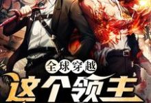 全球穿越:这个领主无敌了小说的免费电子版在哪里可以下载或阅读?-干果文学