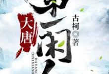 大唐第一闲人小说,大唐第一闲人在线阅读-干果文学