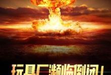 玩具厂濒临倒闭!换军工芯起死回生陆枫小说大结局免费试读-干果文学