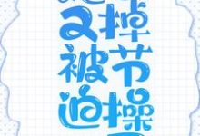 为走剧情,她又被迫掉节操了顾花微容铘,为走剧情,她又被迫掉节操了在线无弹窗阅读-干果文学