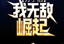 分手后,我无敌崛起小说,分手后,我无敌崛起在线阅读-干果文学