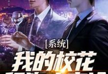系统:我的校花舔狗太高冷小说最新更新在哪里?免费在线看-干果文学