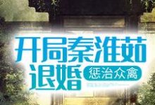 免费阅读杨松陈雪如为主角的小说,开局秦淮茹退婚,惩治众禽在线看-干果文学
