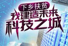 下乡扶贫,我建造未来科技之城唐颂,下乡扶贫,我建造未来科技之城小说免费阅读-干果文学