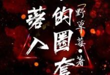 哪里能找到落入他的圈套小说的全部章节?-干果文学