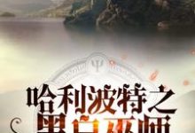 想读罗斯·邓曼莱昂·迈斯的故事,哪里可以免费找到哈利波特之黑白巫师?-干果文学