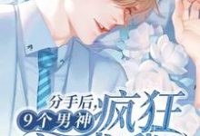 小说《分手后,9个男神疯狂追求我》在线章节阅读-干果文学