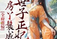 小说《全府震惊,通房丫鬟成了世子正妃》章节免费阅读-干果文学
