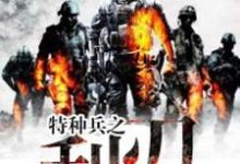 寻找能够免费阅读特种兵之利刃小说的平台-干果文学