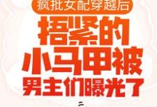 《疯批女配穿越后,捂紧的小马甲被男主们曝光了》小说主角 池奚宁齐皓章节章节免费在线阅读-干果文学