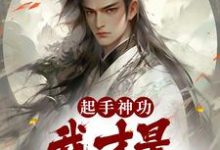 起手神功:我才是一人之下小说有没有完整的免费版本在线阅读?-干果文学