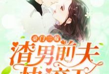 豪门二嫁,渣男前夫快滚开!苏浅齐晨,豪门二嫁,渣男前夫快滚开!在线无弹窗阅读-干果文学