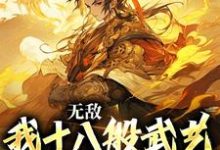 主人公叫陆通的小说无敌:我十八般武艺样样精通在线阅读章节-干果文学